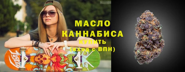 spice Ельня