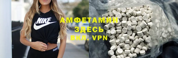 spice Ельня
