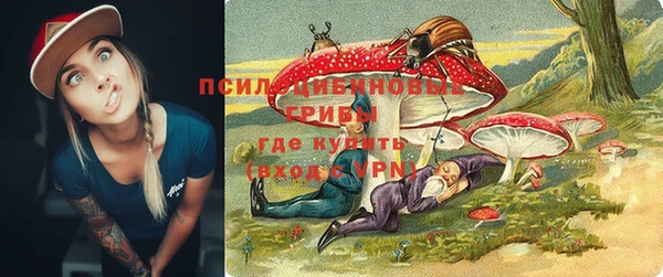 spice Ельня