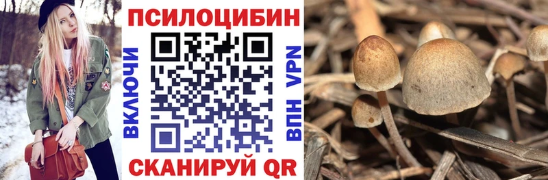 Псилоцибиновые грибы прущие грибы  Балашиха 